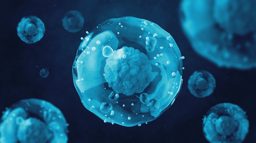 Armored Immunotherapy to Fight Cancer | Lifespan.io