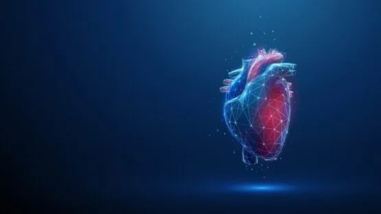 Human heart