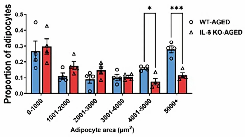 Smaller fat cells