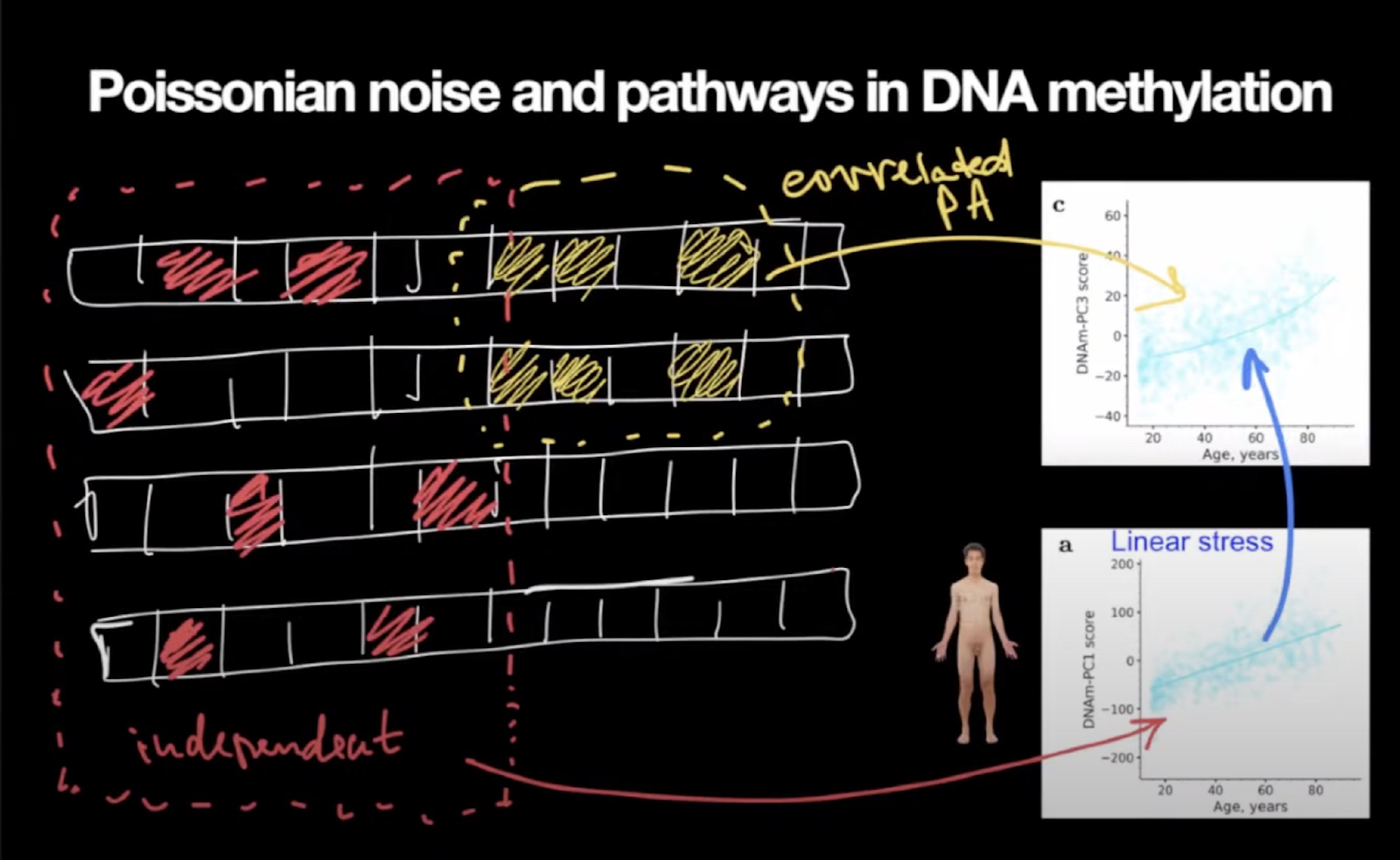Aubrey Peter Debate 2