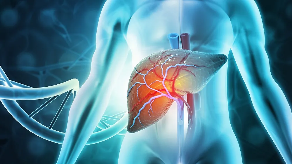 Liver genetics