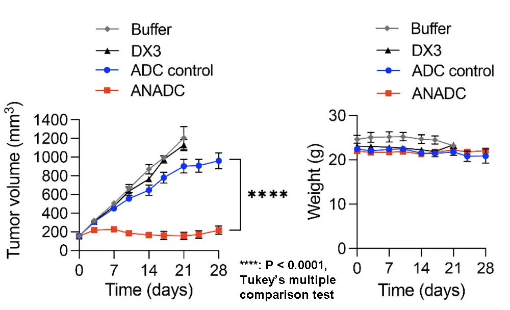 Anti-nuclear antibody effectiveness