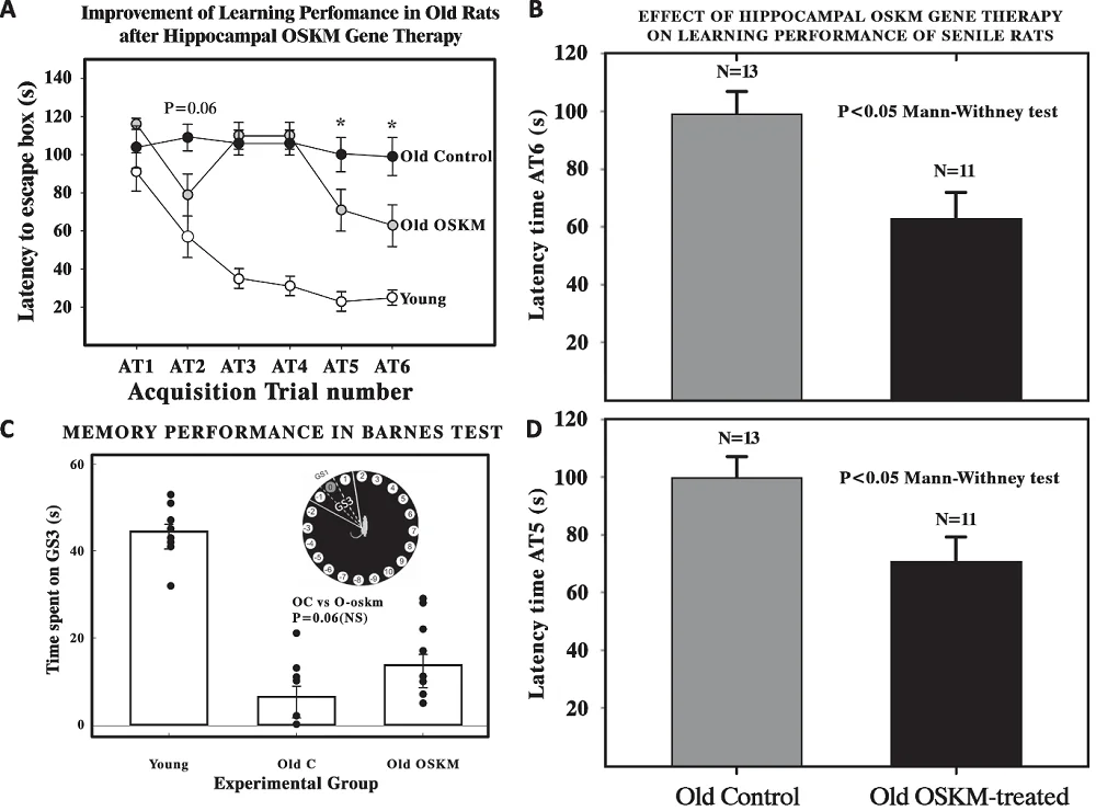 OSKM on Cognition