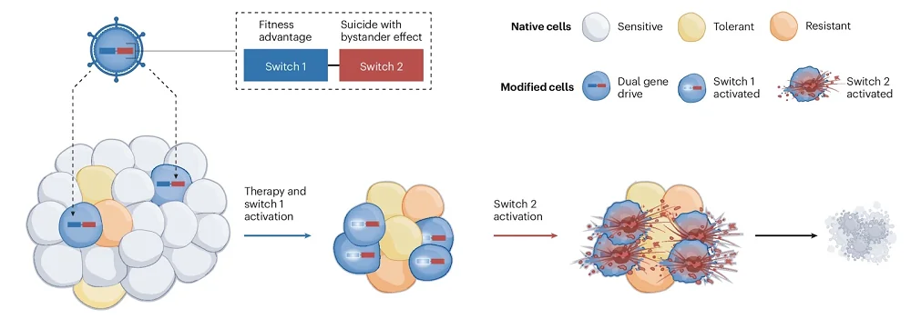 Reprogrammed cancer 1