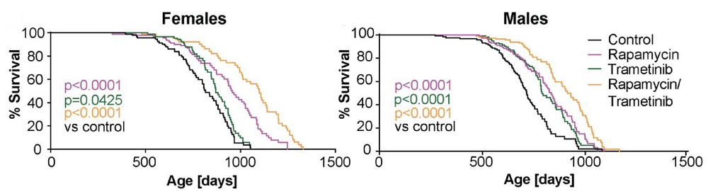 Rapamycin and Trametinib Effectiveness