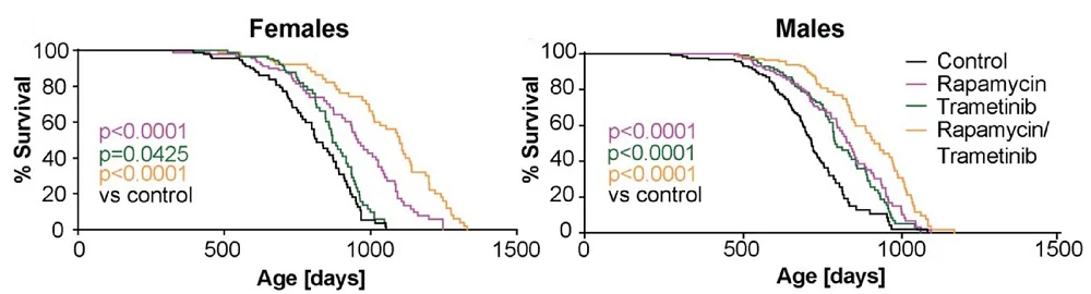 Rapamycin and Trametinib Effectiveness