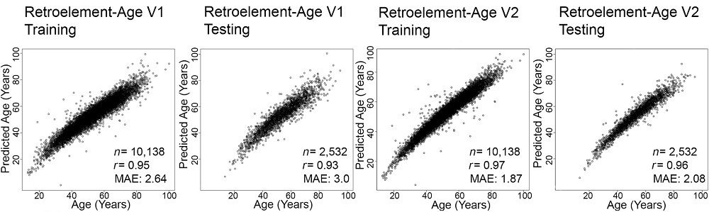 Retroelement-Age Strength