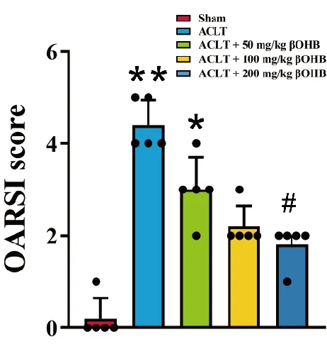 βOHB OARSI