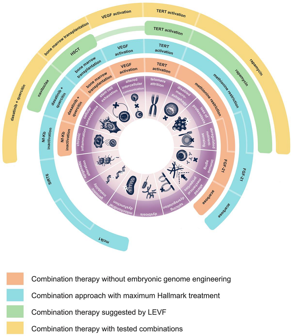 Combination therapies