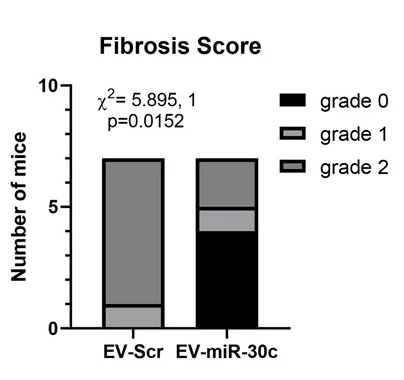 EV miR-30c-5p Fibrosis