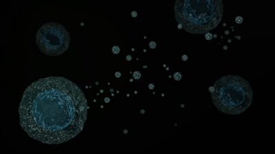 Extracellular Vesicles