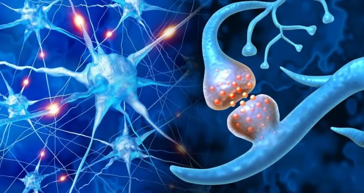 Novel Mechanism for Parkinson’s Is Linked to ATP Deficiency