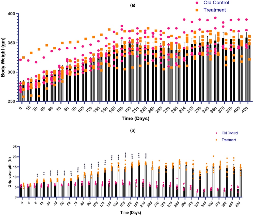 Body weight and grip strength