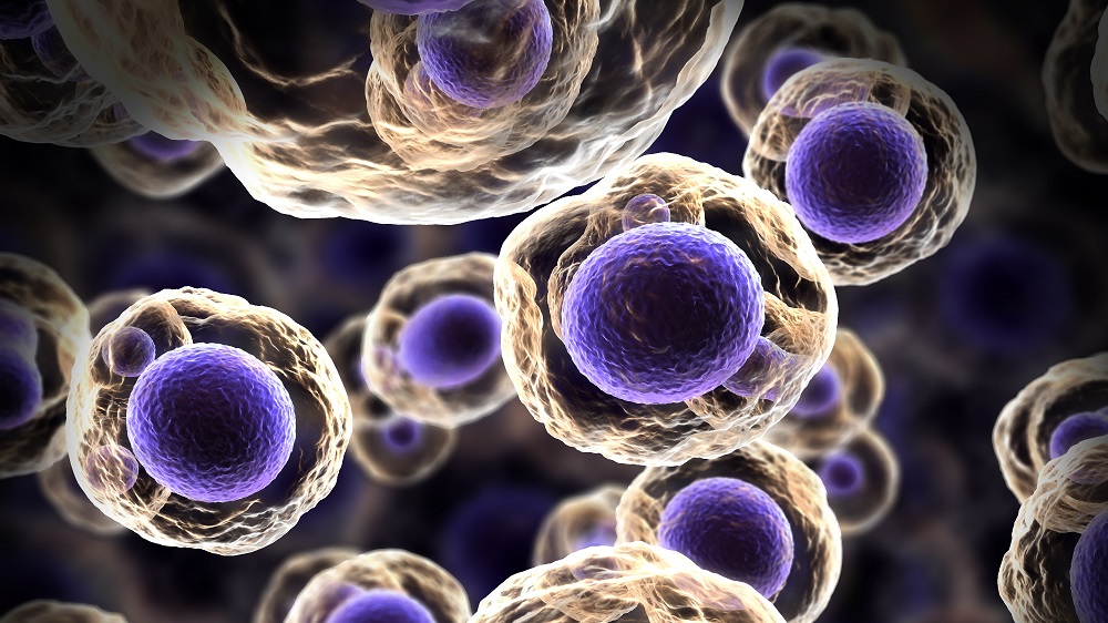 Cellular Reprogramming Breakthroughs in Stem Cell Research