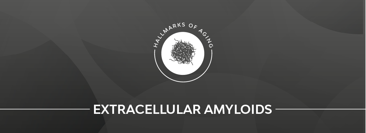 Extracellular Amyloids page banner.
