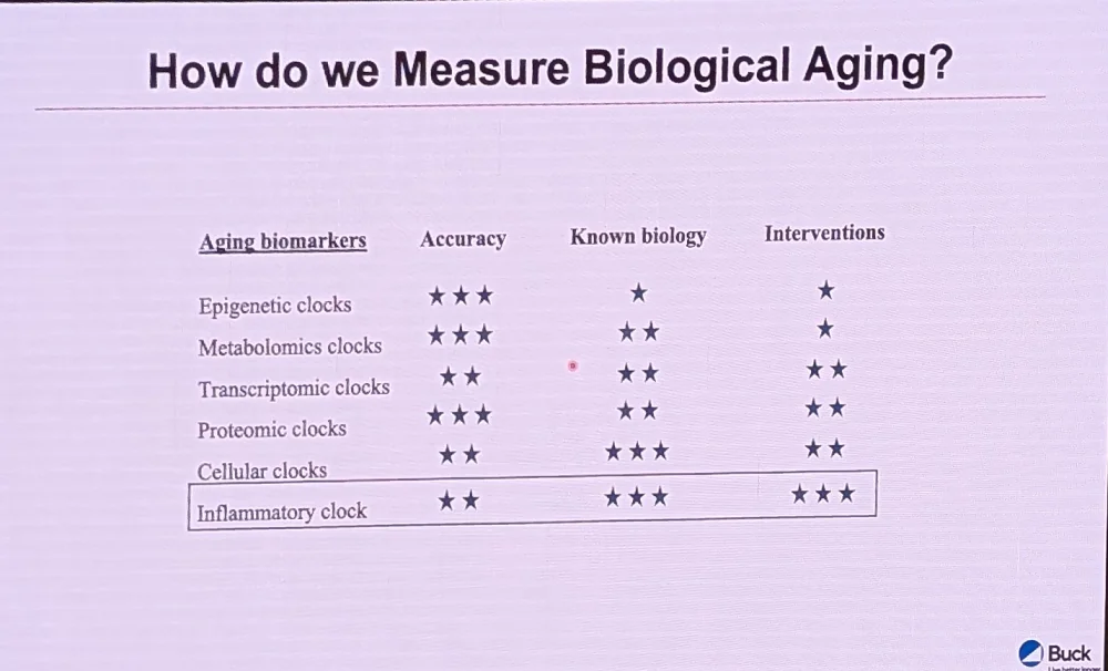 Longevity Summit 2024 2