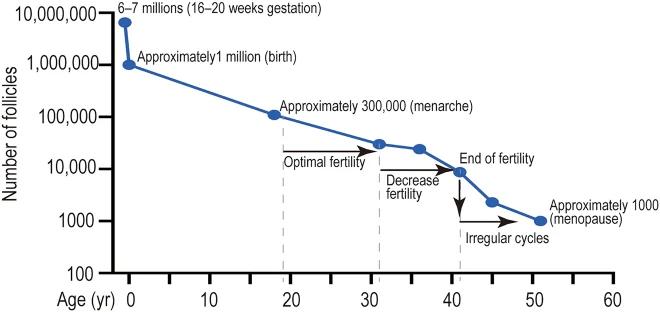 Reproductive Aging 2