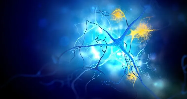 Fighting Alzheimer’s by Helping Neurons Consume Proteins