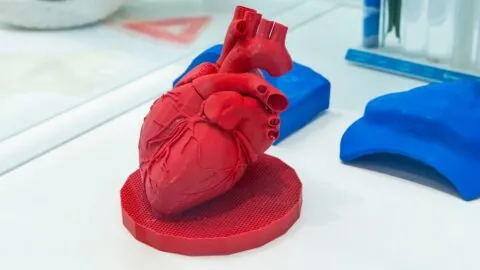 Printed heart