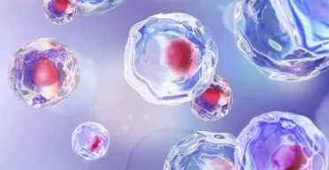 Keeping Stem Cells Healthy and Young