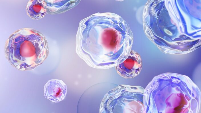 A computer generated image of stem cells