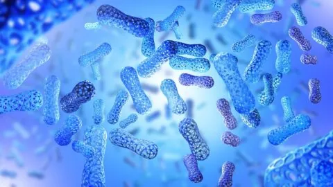 Gut microbiome