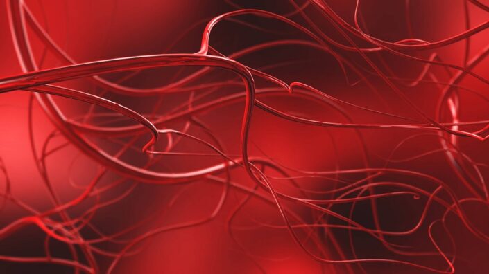 Blood vessels