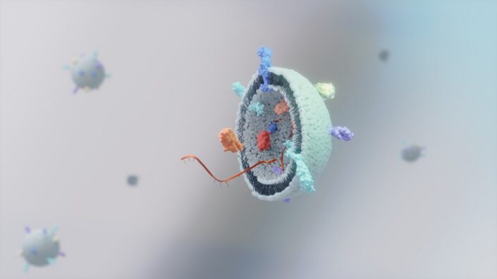 Exosome inside