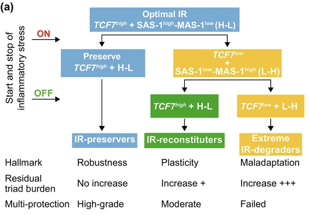 Immune resilience