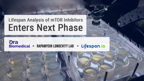 Ora Rapamycin Project