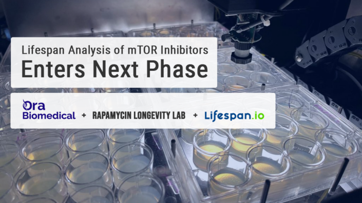 Ora Rapamycin Project