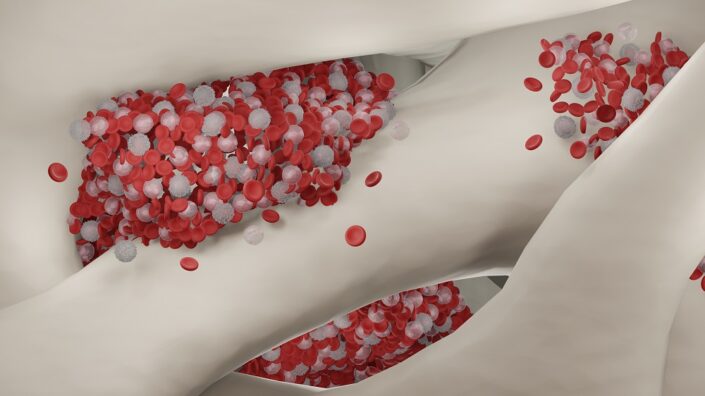 Bone marrow production