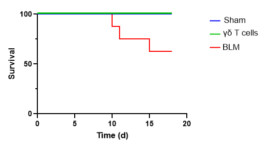 Gamma delta T cells