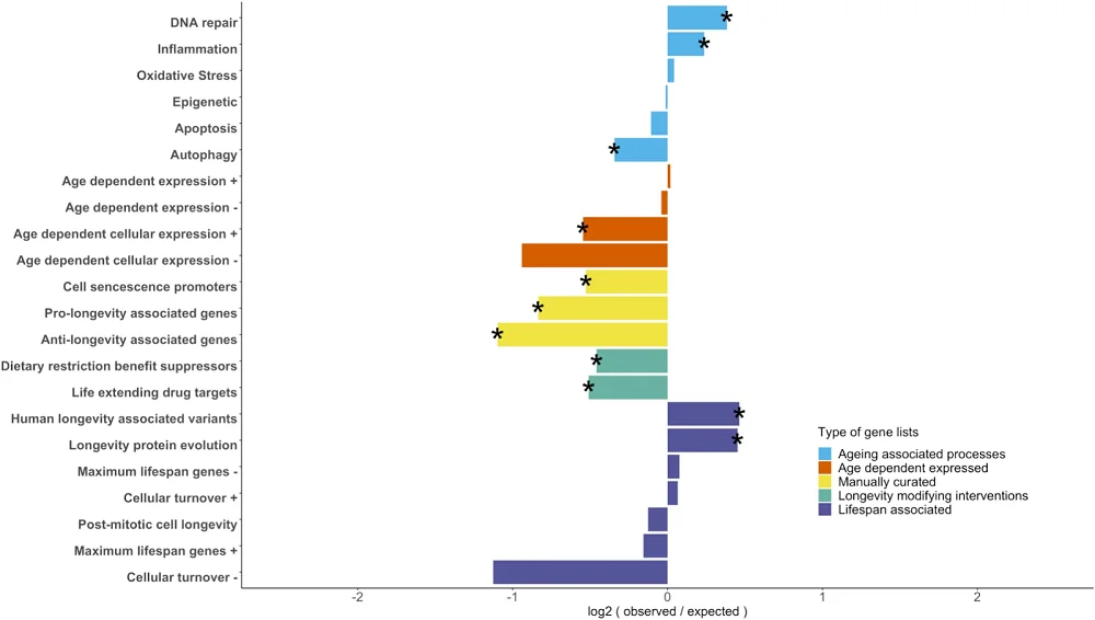 Gene relationships