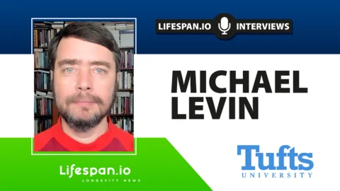 Michael Levin Interview