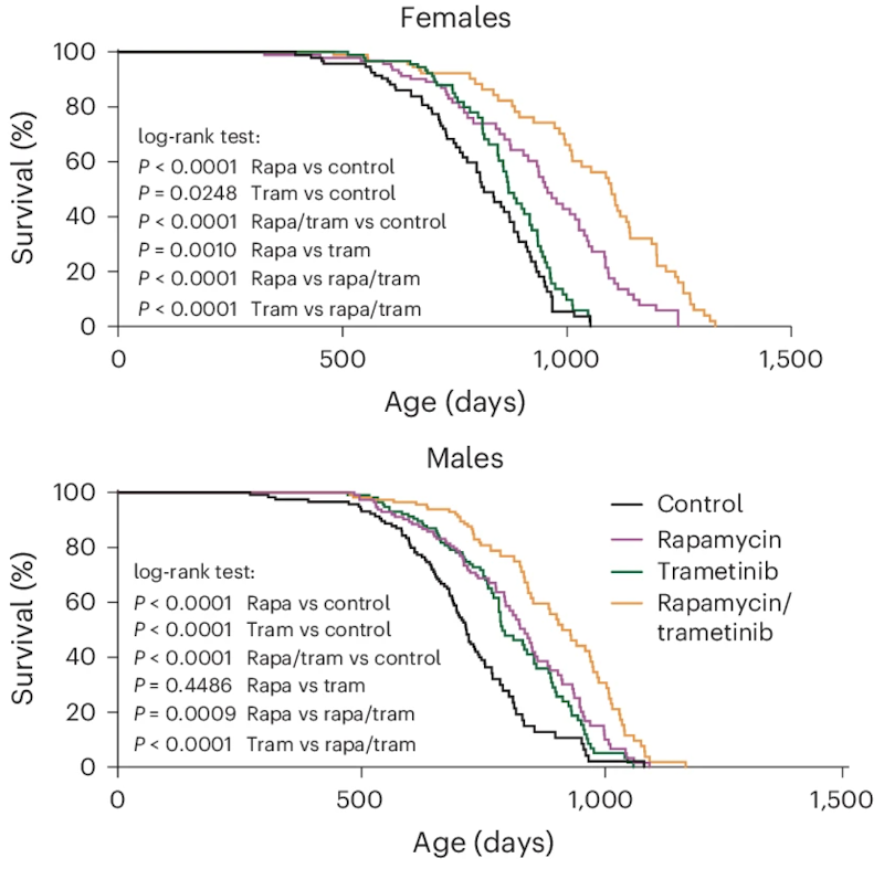 Rapamycin trametinib mouse lifespan