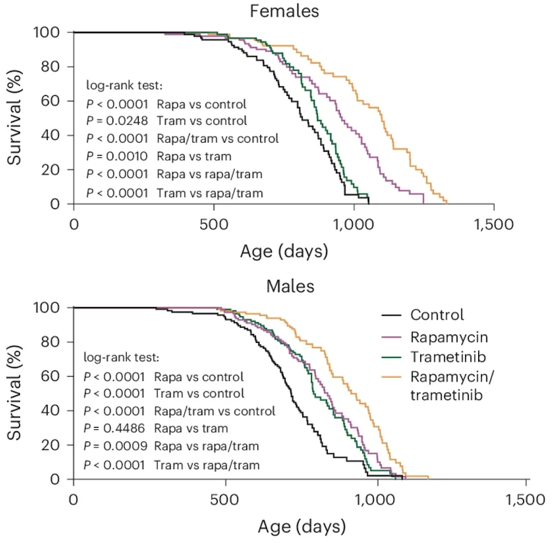 Rapamycin trametinib mouse lifespan
