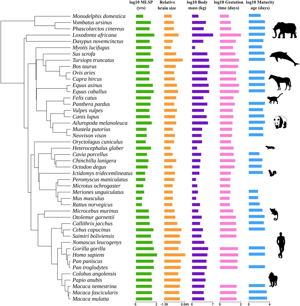 Species metrics