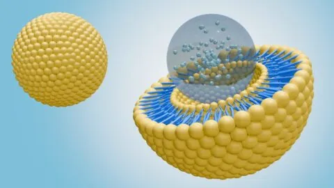 Liposome