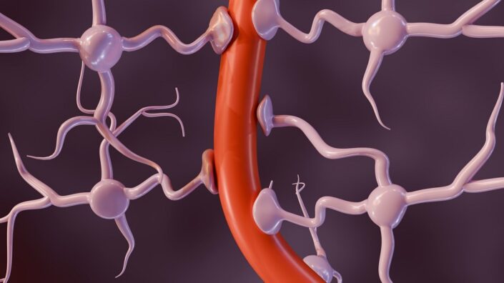 Astrocytes on blood vessel