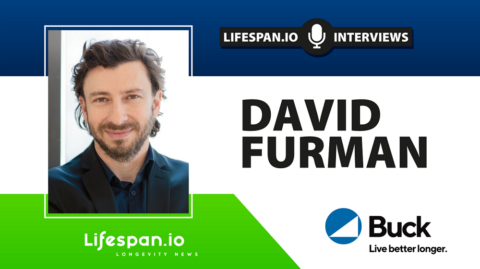 David Furman Interview