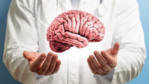 Doctor holding brain