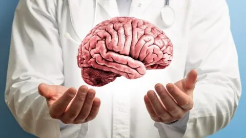 Doctor holding brain