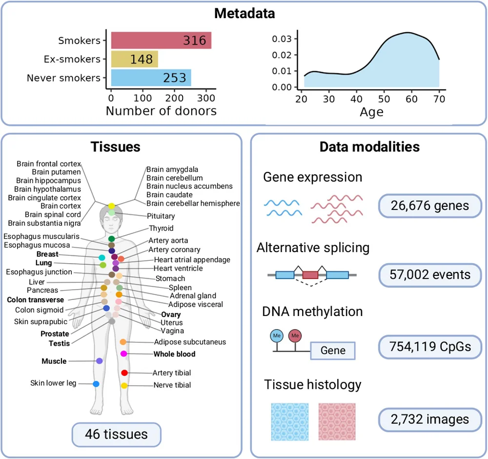 Smoking gene expression