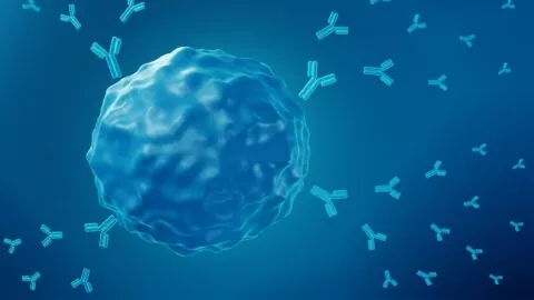 B cell releasing antibodies