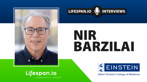 Nir Barzilai Interview