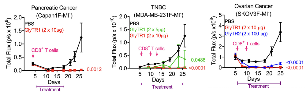 Glycan treatment in cancer