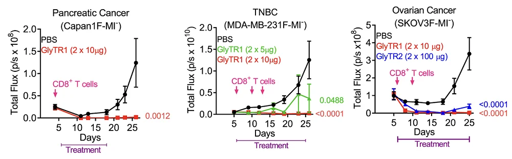Glycan treatment in cancer