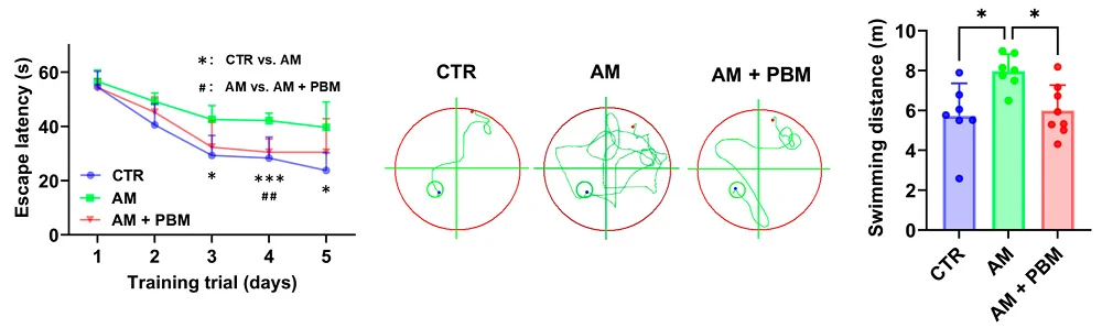 Phototherapy Morris water maze