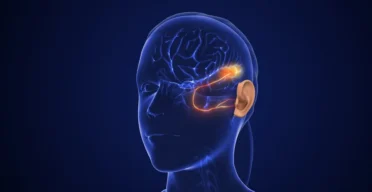 Researchers Find a Potential Target for Hearing Loss